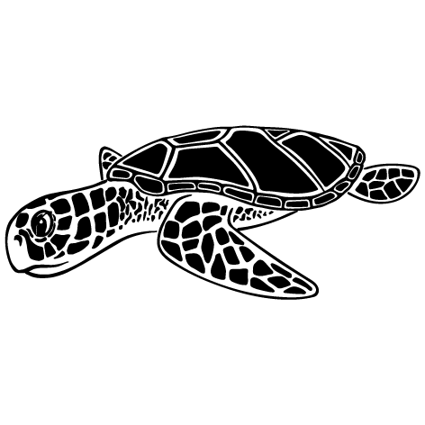 Sticker tortue : SCC02